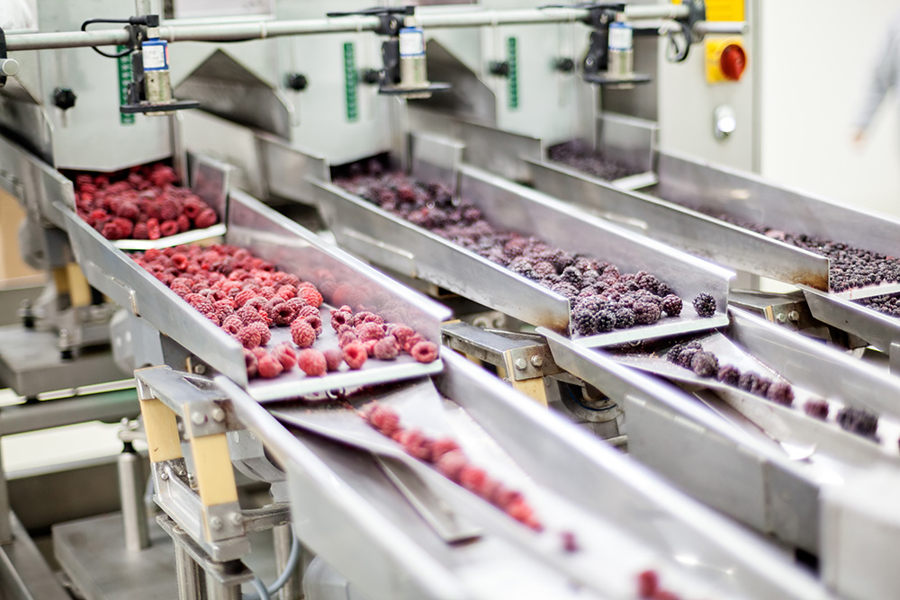 Industry Food Processing